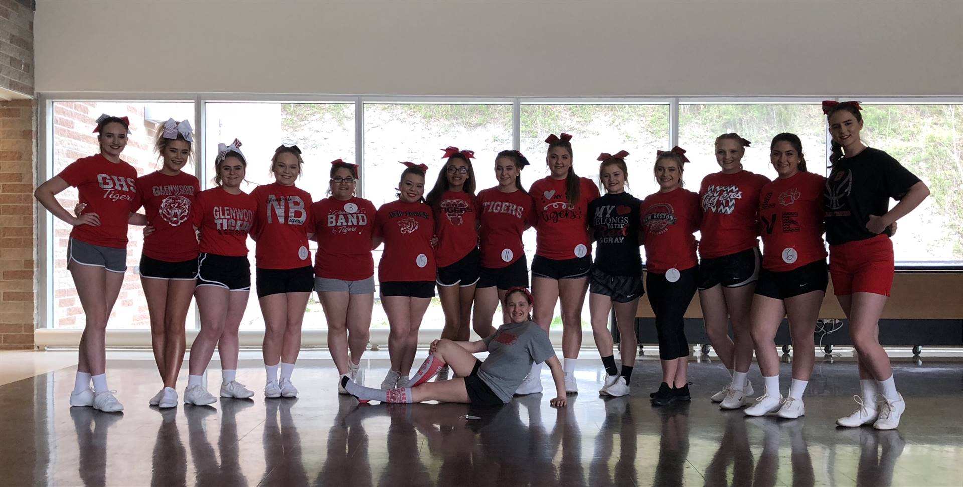 High School Cheerleaders (2018-2019)